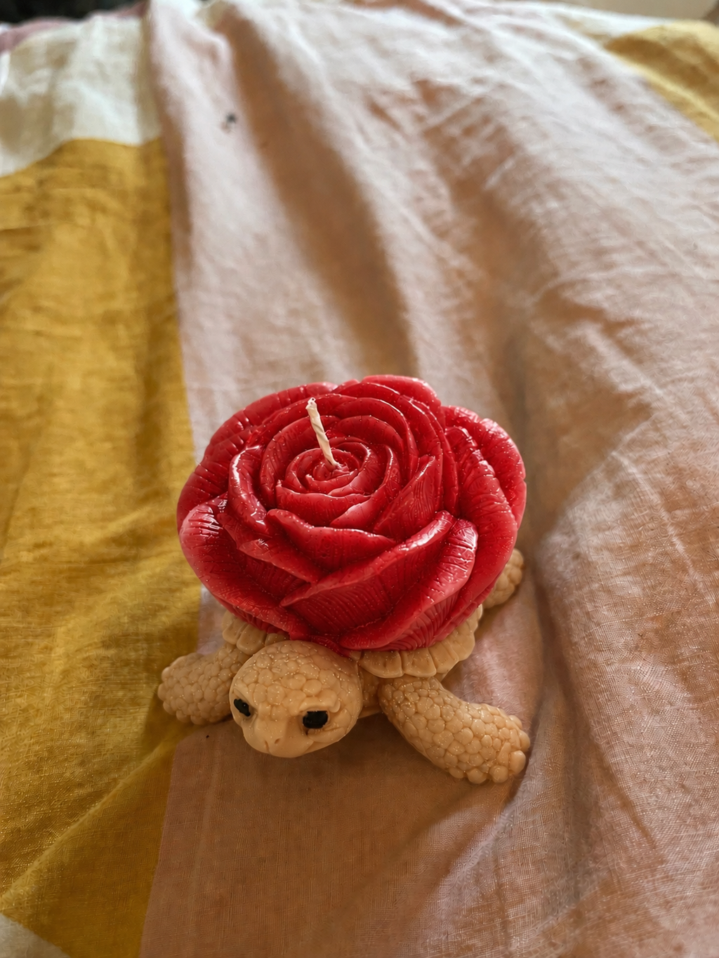 bougie tortue