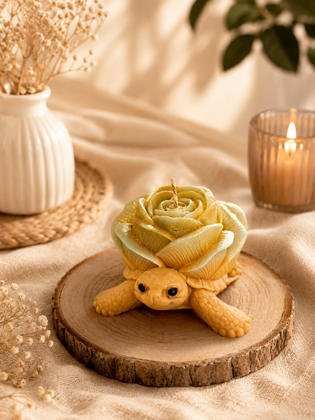 bougie tortue